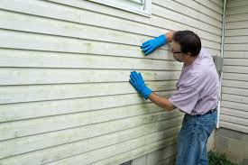 Best Siding Replacement  in Willis, TX